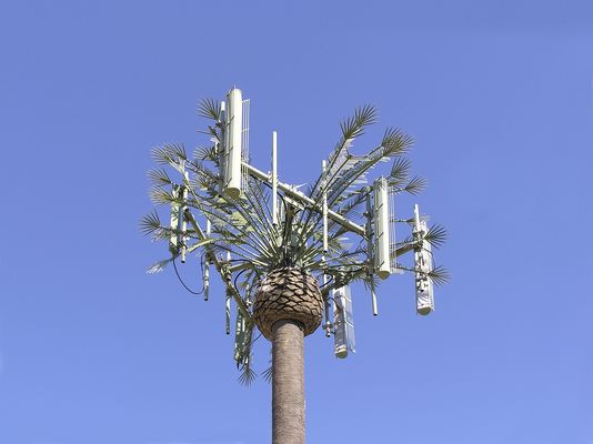 Cell Palm
Close up of the business end of Sprint's Desert Hot Springs monopalm site at 61400B Pierson Blvd. sits aside the road to 29 Palms.  Relatively poor branch coverage.
Keywords: Sprint Desert Hot Springs monopalm