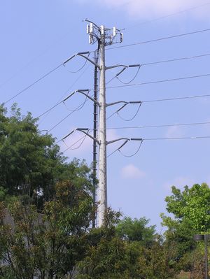 Cell Site on a Power Pole (Crown Design)
...on 19th near Tuckahoe in Fairfax Co., VA near I66.  Notice how the cable ladder is attached to the pole using straps.
Keywords: fairfax county va power pole tower electrical transmission electric