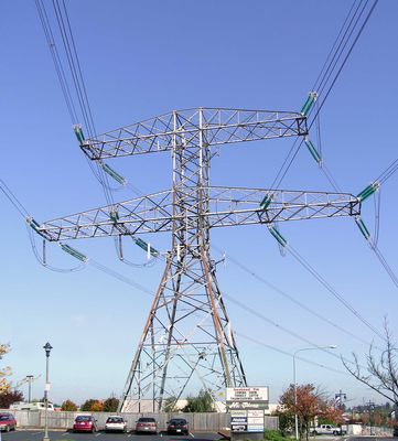 Guess which puts out more power?
This is a massive power transmission tower that supports two different carriers.  Yeah, the tower's REALLY that big.
Keywords: co-location power tower