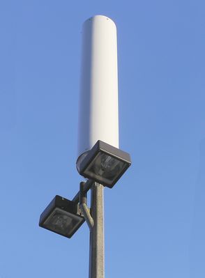 Parking Lot Light Standard Site
This is a close-up of the Nextel radome above the parking lot light standard on USN property in San Diego.
