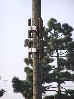 A Growth on a Monopalm
Spectrasite's monopalm has this very strange 6-panel growth on the tree trunk.  How sad.  Inglewood, California.  Cingular and Sprint are at this site.
Keywords: spectrasite sprint cingular monopalm inglewood