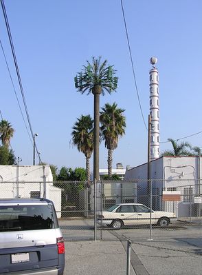 Sprint Monopalm
Sprint's monopalm in Inglewood, California.  Interestingly, the FCC tower registration for this site points to a completely different address.  Hummmm!
Keywords: spirnt inglewood monopalm