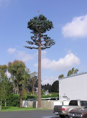 T-Mobile's Take on a Cellular Pine
This T-Mobile cell pine tree is located near the John Wayne Airport in Orange County.  Of interest is the almost total camouflaging of the antennas by careful design/placement of the RF transparent "limbs".  The limbs could have come down much further on the trunk.  

Oh, yes, there's that aircraft warning beacon that helps the illusion.
Keywords: T-Mobile Aircraft Warning Beacon Cell Pine