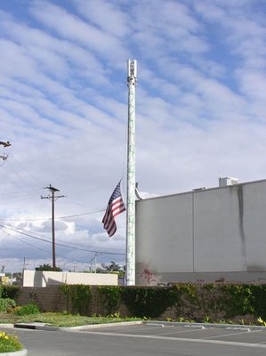 Really, really flat vines on this pole!
A Spectrasite site in Montebello, CA.
Keywords: spectrasite montebello california