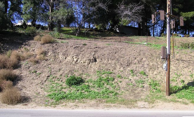 Two Sectors - One into a hillside!
Okay, here's a panoramic photograph of Sprint's excellent RF into the accessible hillside.
