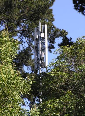 Tip-to-Tip 2 of 2
Here are four antennas mounted in a "tip-to-tip" configuration.  Notice the faux antenna cover used to blend each of the two vertical antennas on the right side of the pole.  Also clearly seen are the antenna downtilt mounts, and pole-mounted pre-amplifiers.  

This site is located in San Francisco and shines signal on US101.  The equipment cabinets for this site are seen in an adjacent photo in this gallery.
Keywords: tip-to-tip san francisco
