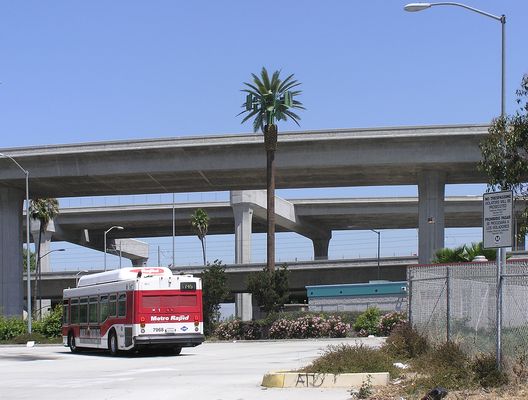 An Odd Cell Palm
This Nextel cell palm sports an unusual gap between the bottom of the palm fronds and the growth pod.  In fact, it appears to be green!  How unusual.
Keywords: nextel gap fronds cell palm