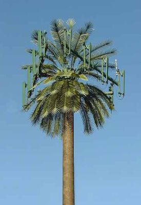 Cell Palm head
This is a close-up of a cell palm.  Note the GPS antenna stuck on to right-side of the frame for the panel antennas.
Keywords: cell palm
