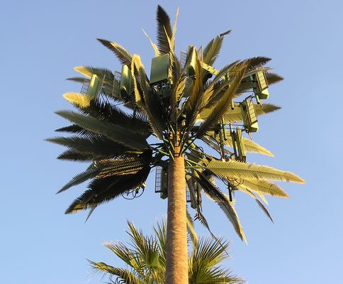 Monopalm - A Morning View
Close up of the business end of the Palm Desert, California monopalm.  Now you see it...now you do!
Keywords: monopalm palm desert california branch coverage monopalm