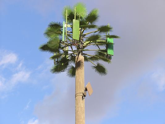 Is that a Diamond-shaped date?
The diamond-shaped device belong the cell antennas is a flat panel microwave antenna.  In many cases, the purpose of this antenna is to save the carrier the cost of leasing a data line from the local telephone company.  The trade off is that the antenna weakens or destroys the camouflage nature of the site.  Not recommended in most cases.  How 'bout the fact that the panel antenna supports aren't cut off above the panels.  Also notice how the 'bark cladding' stops below the level of the palms.  Not a complete camo solution by any means.  Finally, is there a brighter green that might draw the eye even more effectively than the panel antenna on the right side?  I think not!
Keywords: flat panel microwave antenna cell palm