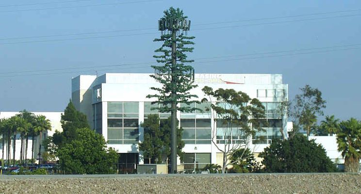 Cell Pine (multiple carrirers)
Cell pine tree (multi carriers) with more antennas mounted on the building in the background.
