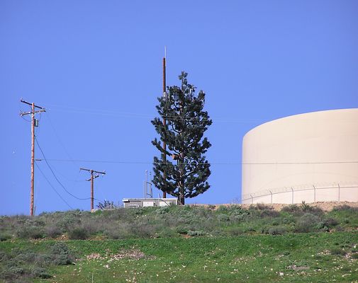 Cell Pine
This cell pine is located on a hill in Lake Elsinore, CA.  Good branch coverage.  Notice the round microwave antenna on the tree trunk.
Keywords: cell pine lake elsinore microwave