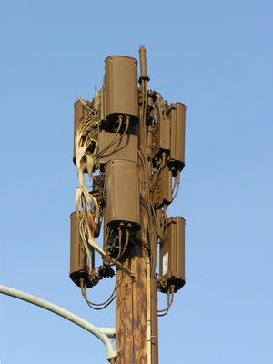 Two on a Stick
Cingular and Sprint share this wood light pole in Santa Monica, California.  Cingular's antennas, pictured here, are on the top.  Sprint's antennas are on an arm below the bottom of the photograph.  Both carriers use completely underground BTS equipment enclosures and flush-to-grade vent systems.
Keywords: sprint cingular santa monica california wood utility light pole standard