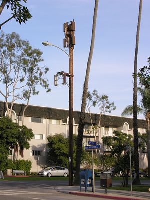 Two on a Stick
Here's a close-up of the dual antennas on this wood pole in Santa Monica, California.  Sprint is on the bottom; Cingular is that mass at the top.  By the way, the palm is not a camouflage element of Cingular's antennas. 
Keywords: sprint cingular santa monica california wood utility light pole standard