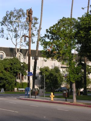 Two on a Stick
Cingular and Sprint share this wood light pole in Santa Monica, California.  Cingular is on the top, and Sprint is on the arm.  Both carriers use completely underground BTS equipment enclosures and flush-to-grade vent systems.
Keywords: sprint cingular santa monica california wood utility light pole standard
