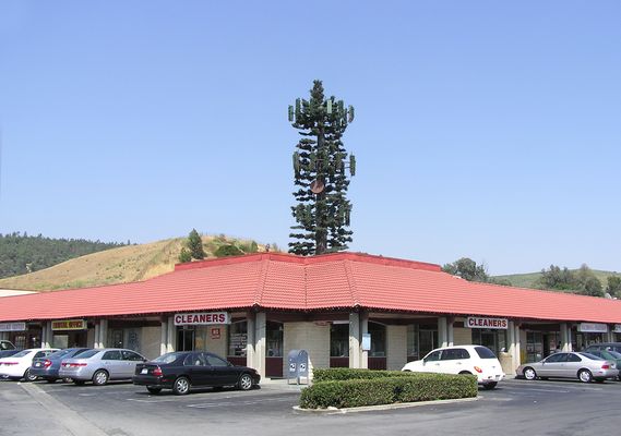 Cell Pine - Overview
Here's an overview photo of a cell pine (monopine) standing alone in a shopping center in Walnut, California.  
Keywords: cell pine shopping monopine walnut ca