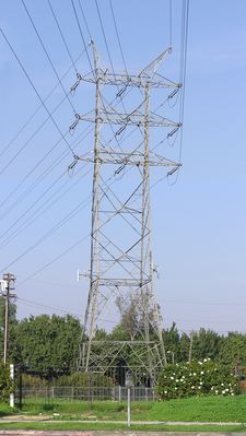 Power transmission pole - L.A. Dept. of Water & Power
This power transmission pole, located in Tarzana, California, supports a cell site.
