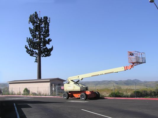 Is that an AIRCRAFT warning light on the tree?
This Nextel site on USMC property in San Diego is already depicted in the gallery, but it's time to revisit is as Cingular is in the process of adding 12 antennas.  The lift used to get workers 'up into the tree' is shown in the foreground.
Keywords: USMC nextel cingular san diego
