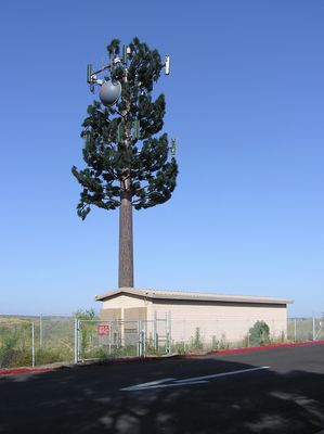 Is that an AIRCRAFT warning light on the tree?
Here's another view of the Nextel/AT&T Wireless Co-Lo site on USMC property in San Diego.  This angle shows the microwave antenna used for backhaul purposes.  

Notice how the bark cladding ends at the level of the lowest branches.  Modern design (and permit conditions) would have the cladding extend to the top of the tree.  Modern design would also extend the branches closer to the ground, and would provide for significantly greater branch coverage.  Finally, modern design would also provide for camouflage covers on each of the antennas, and better treatment of the microwave radome.
Keywords: USMC nextel cingular san diego