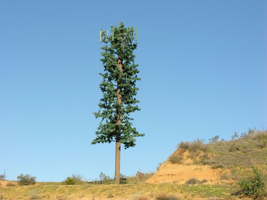 Cell Pine
Not a bad tree design execution, save for the lack of branch coverage over the antennas.
