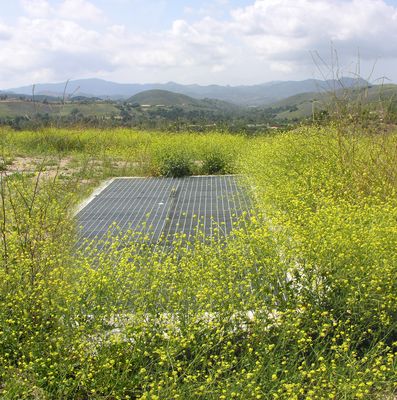 Gimme a Transmitter with Mustard!
Another view of the at-grade grill over the transmitter room at KMLT.  May 2006
Keywords: kmlt may 2006