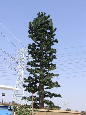 Cell Pine with Antenna Panel Covers
Here's a Nextel site at the intersection of the CA SR91 and I110.  It's a good design, and uses what I lovingly call "pine needle slip covers" on the panel antennas. 

Good branch coverage down the trunk.  Good texturing on the trunk, too.

Nice job, Nextel!
Keywords: nextel cell pine slip covers panel