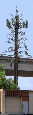 Fake Cell Pine Diseased Tree
This has got to be one of my favorite cell trees...perhaps the worlds worst cell pine design.   Yes, Nextel is to be commended on this design, not found in nature, spotted in West Los Angeles, California.  Compare this to Nextel's truly good design for a [url=http://cabletv.com/cells/albums/userpics/10001/normal_nextelSR91I110PA070039.JPG]cell pine[/url].
Keywords: nextel cell pine worst diseased fake