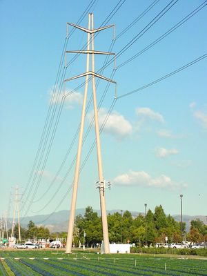 Wireless site on a major transmission tower, Irvine, CA
Utilizing the powerline ROW, this wireless site makes use of a transmission tower.   If you enlarge the photograph, you'll see another wireless site on the pole behind this one.
Keywords: SCE Transmission tower, Irvine