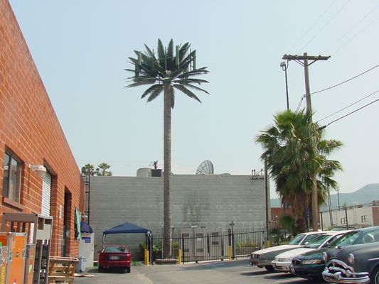 Southern California palm tree cell site.
Along side a major freeway in the Los Angeles area, this cell site is hardly noticeable from the freeway. 
Keywords: palm tree wireless disguise camouflage cellular hidden