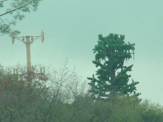 Unhidden and hidden
On this hillside are located two wireless structures. One is obviously not hidden and the other one is. 
Keywords: hidden foliage wireless disguise cellular stealth