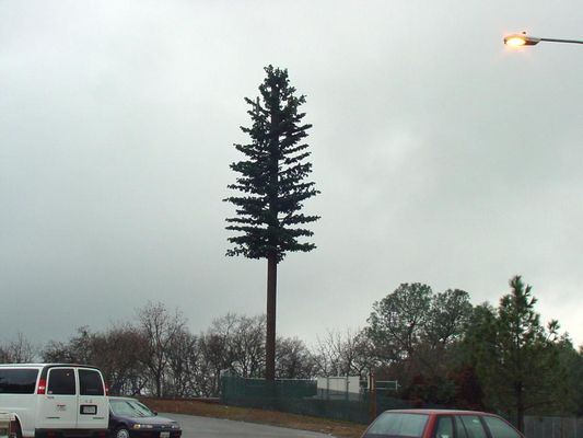 Pine tree stealth site
While it stands alone above the hill, this is actually a very good camouflaged site.  Sufficient faux foliage coverage to hide antennas. 
Keywords: pine tree stealth