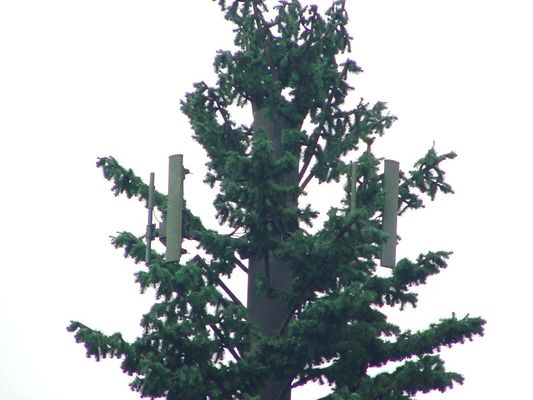Close-up of antennas on pine tree stealth site
Here is a close-up of the antenna mounting pattern on the pine tree stealth site.  
Keywords: pine tree stealth
