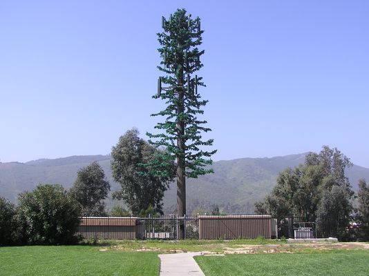 Camo Monopine
Branch design and branch coverage are the keys to a great...or poor...monopine design.  This multi-carrier monopine, adjacent to an interstate highway, has relatively poor branch coverage.  The bark cladding stops at the lowest level of the branches, leaving exposed flat metal surfaces above.
Keywords: cell pine