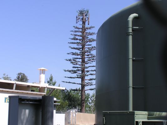 Sort-of-Monopine
This sickly Sprint monopine is located next to a water tank.  Extremely poor branch coverage makes the overall appearance something less than stunning.  No bark cladding.  No antenna covers or branch coverage.
Keywords: Sprint monopine