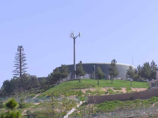 Battle of the Mono's...
In this case, a sickly monopine and a basic monopole, both located at the top of a hill next to a water tank.  Not much can be said for the monopole, but the poor branch coverage of the monopine sure sticks out like a sore thumb.  Successful monopines have great branch coverage, antenna covers, and bark cladding all the way up the tree (unlike this example).
Keywords: Monopole and monopine